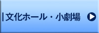 野洲文化ホール